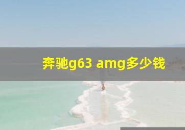 奔驰g63 amg多少钱